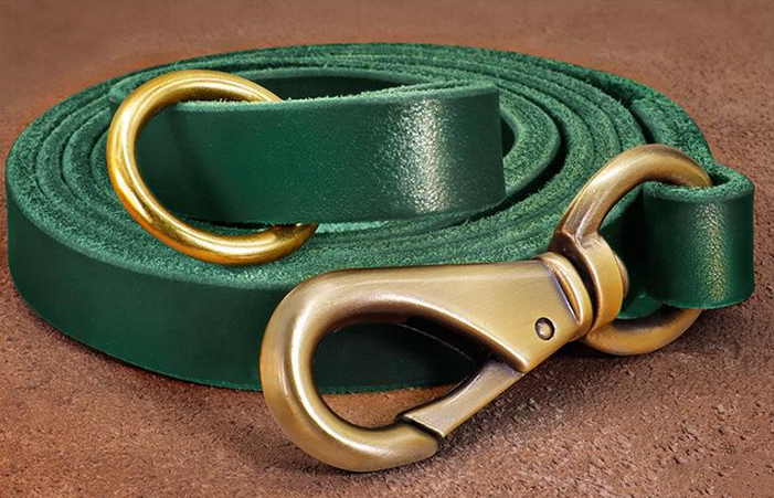 Genuine Leather Leash for Large Dogs like Labradors