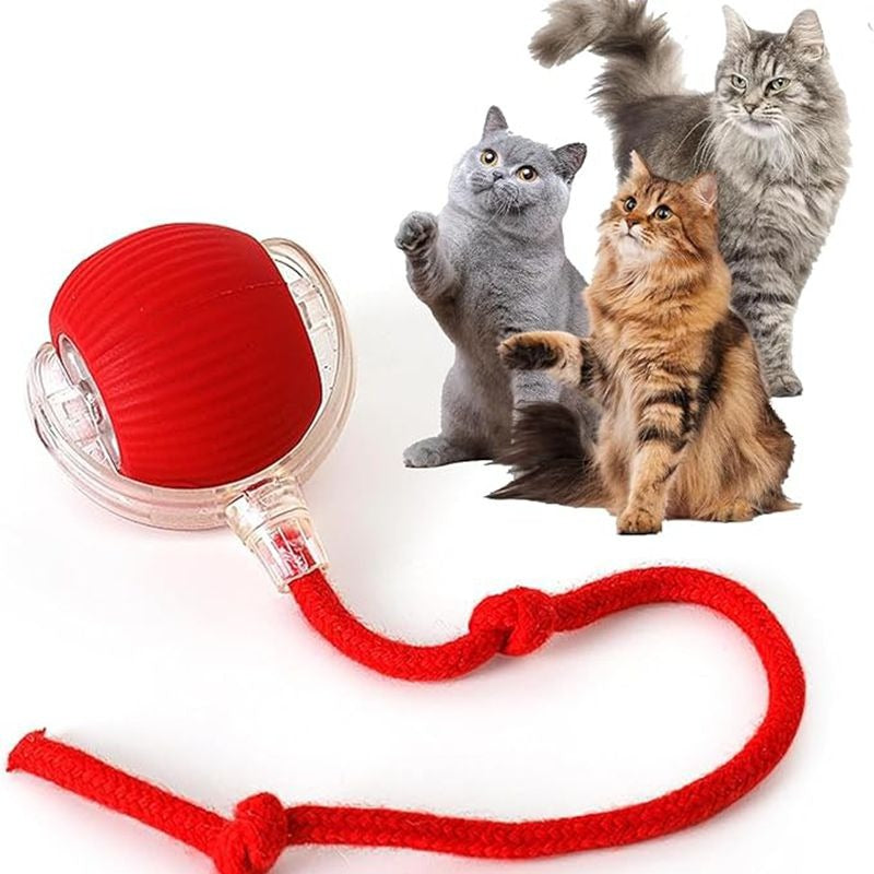 Rechargeable Smart Cat Ball Toy