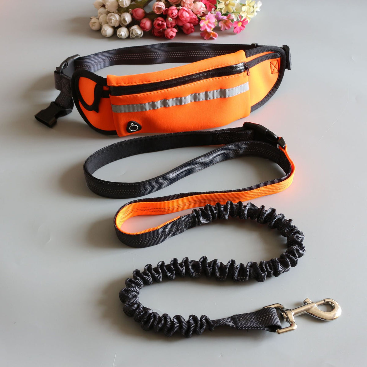 Pet Traction Rope and Pocket Running Set