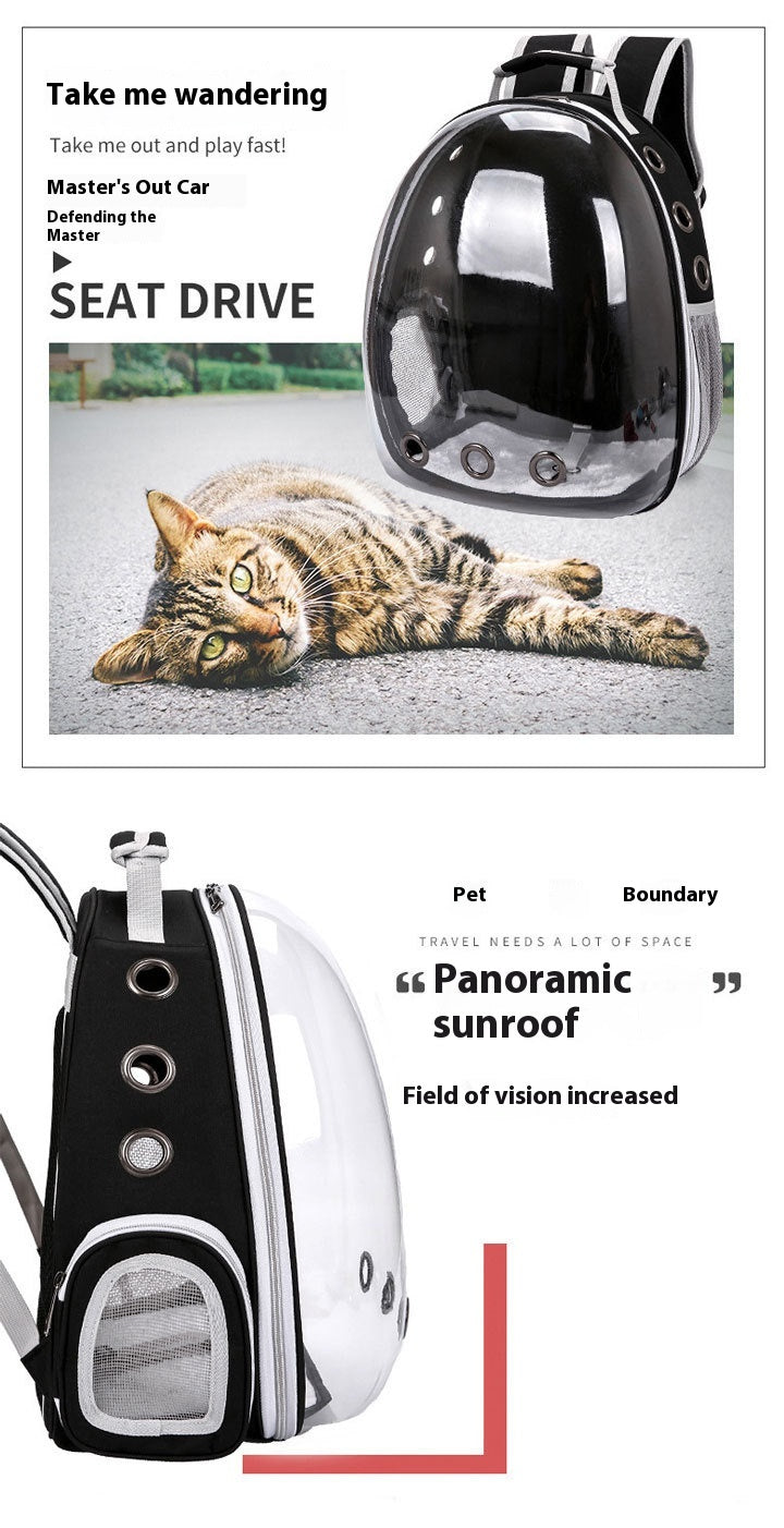 Transparent Cat Backpack