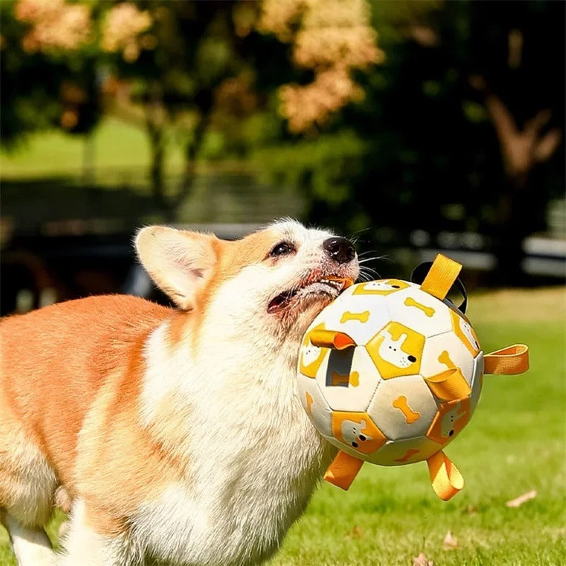 Dog Interactive Soccer Toy with Cute Prints