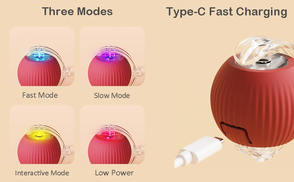 Interactive Rolling Ball Toy for Dogs and Cats