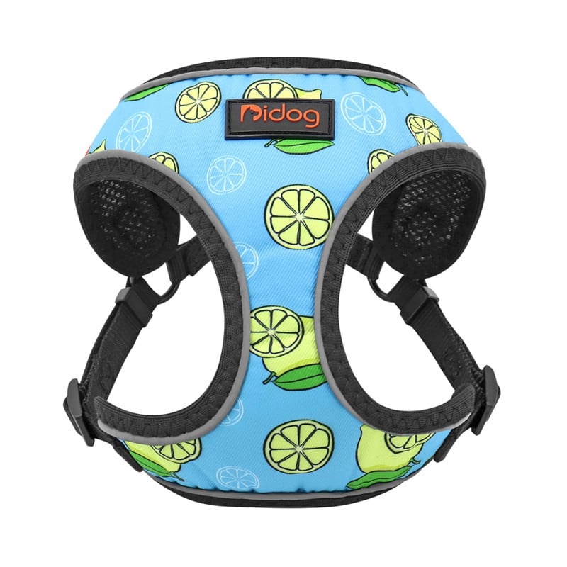 Vest-Style Pet Harness to Prevent Escaping
