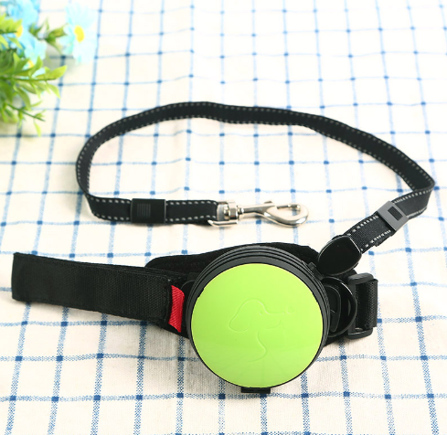 Automatic Retractable Dog Leash with Light (3m)