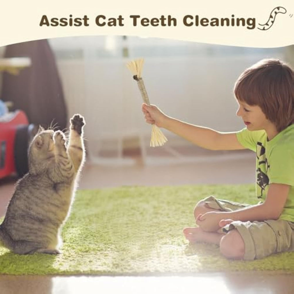 3 Pack Silvervine Cat Chew Sticks for Dental Care