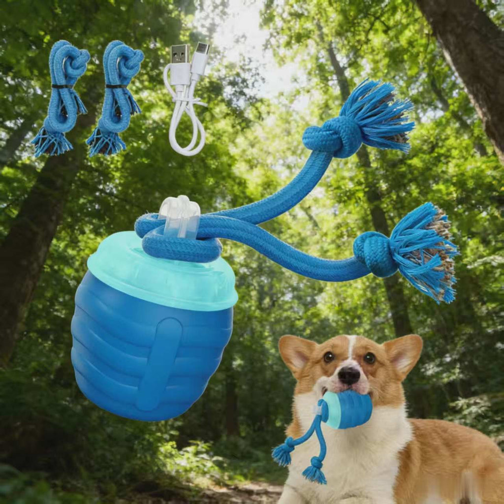 Bite-Resistant Pet Ball