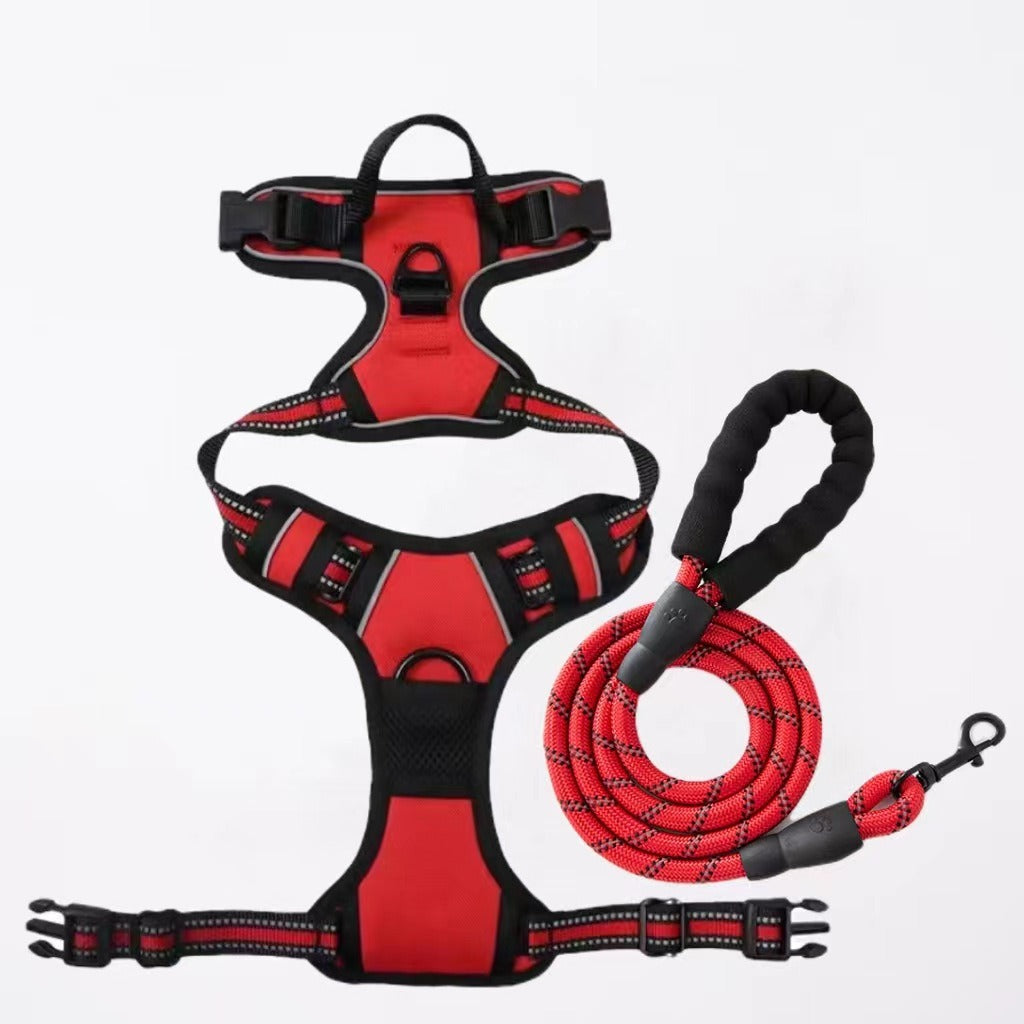 Nylon Dog Harness & Leash Set