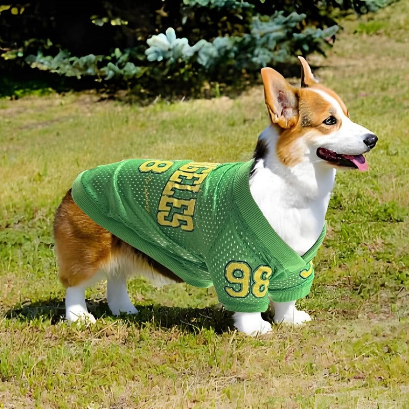 Dog Sun Protection Outdoor Sports Shirt