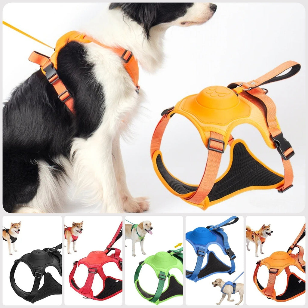 Dog Harness with Retractable Leash
