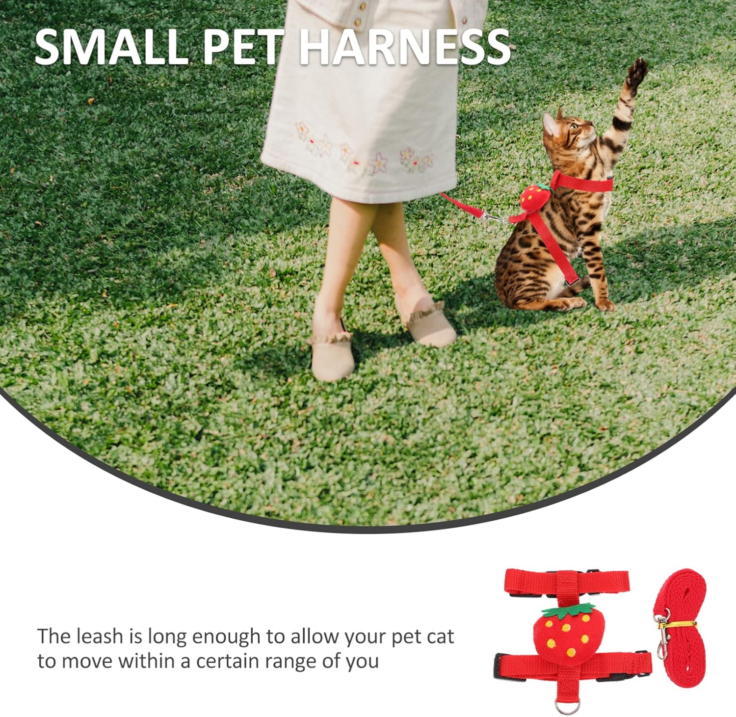 Small Pet Harness