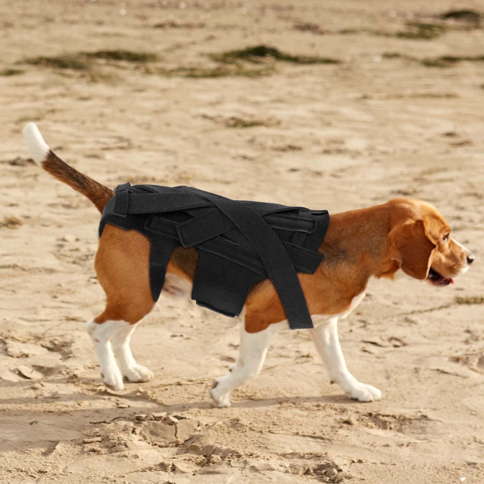 Dog Injury-Relief Vest