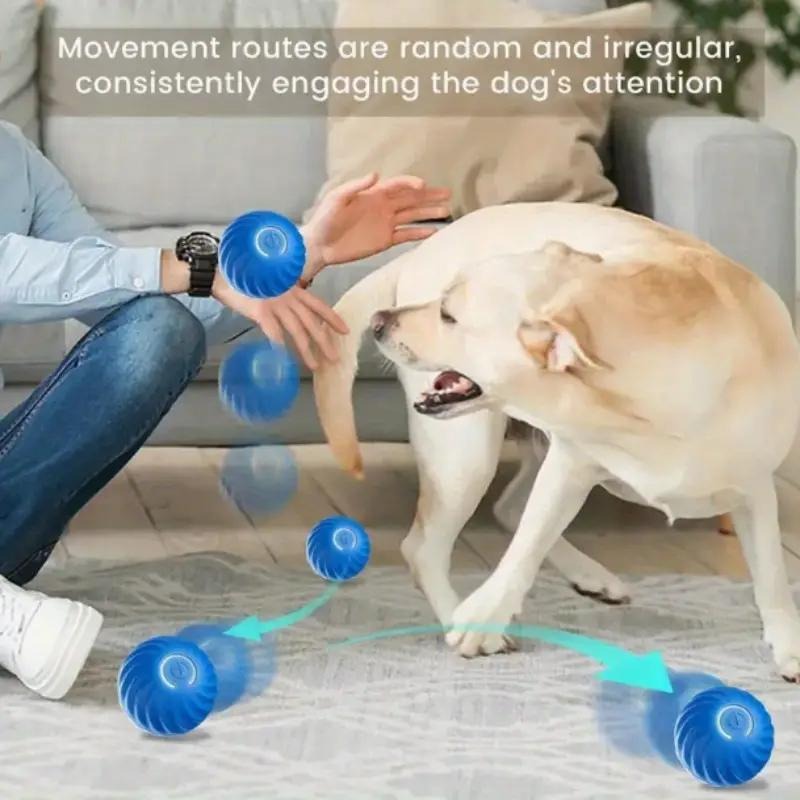 Blue & Orange Pet Bouncing Ball for Cats & Dogs