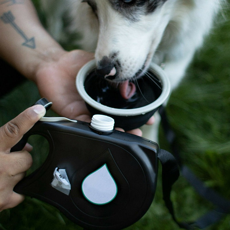 Retractable Dog Leash with Water Bottle