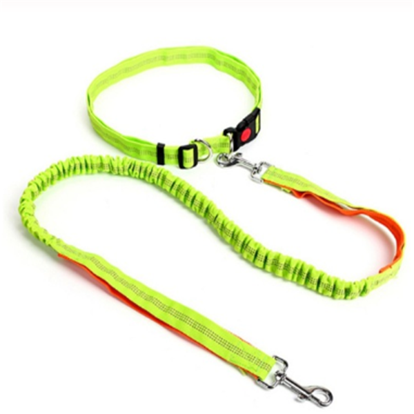 Dog Leash and Tethering Rope for Pets