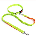 Dog Leash and Tethering Rope for Pets