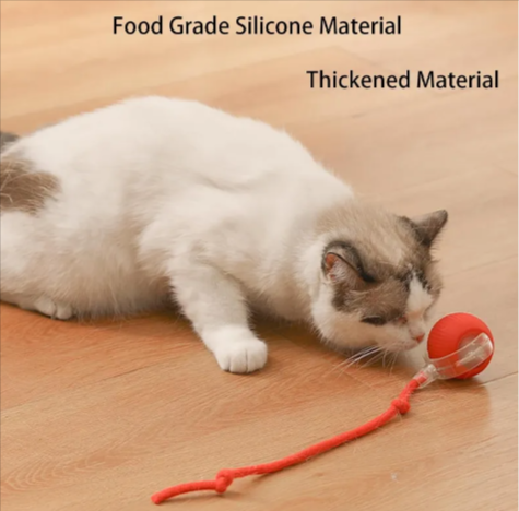 Smart Rolling Pet Ball
