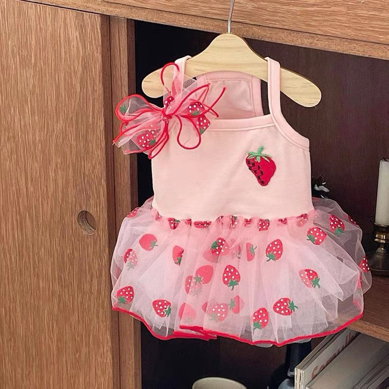 Cute Mesh Strawberry Strap Dog Dress