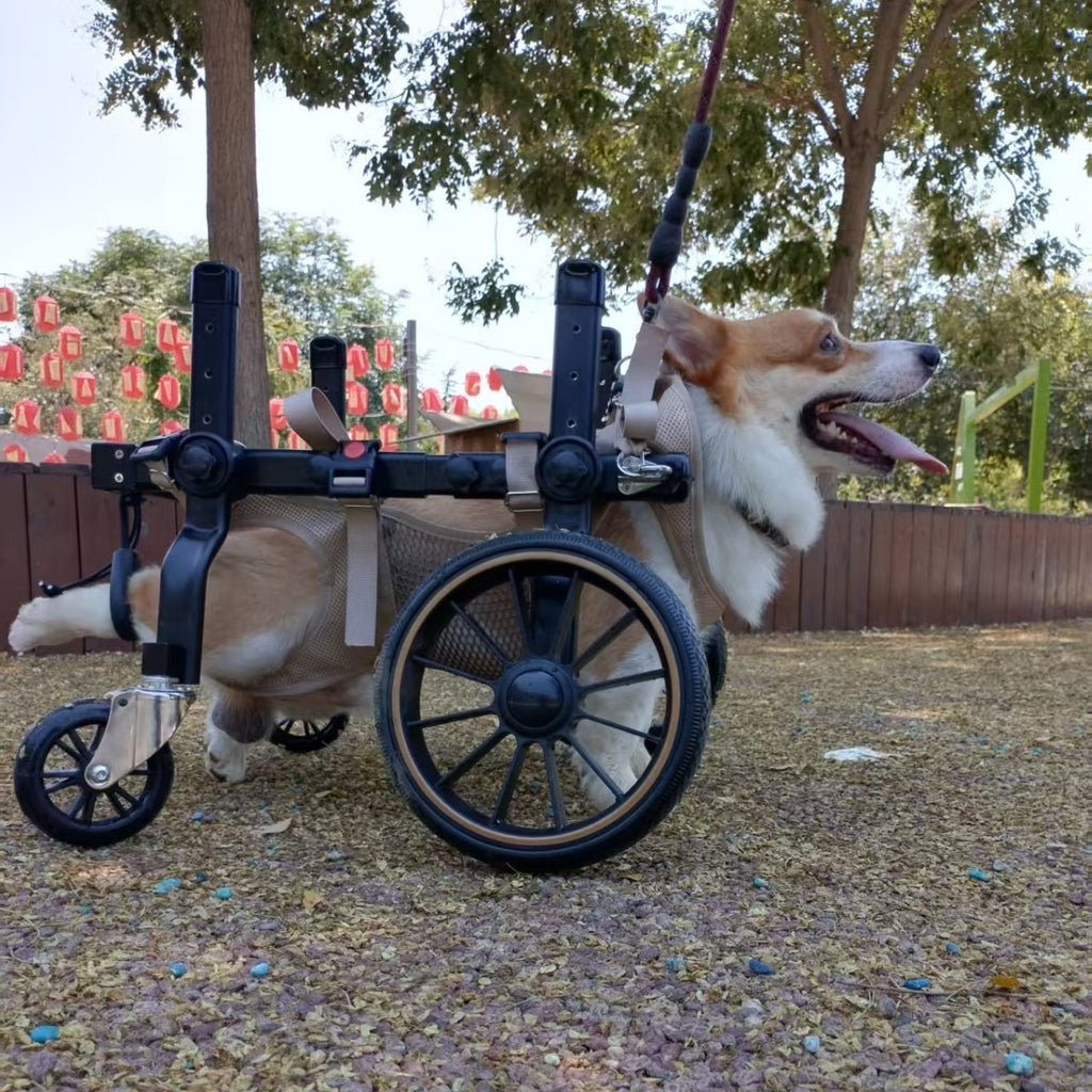 Dog Wheelchair for Disabled Dogs
