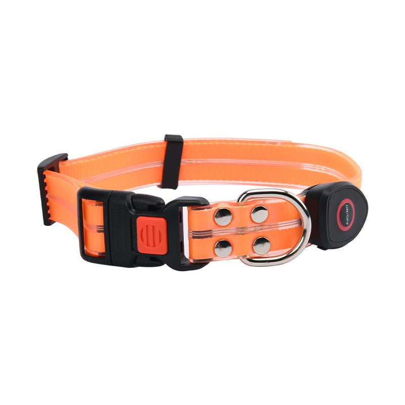 LED Light-Up Pet Collar & Leash