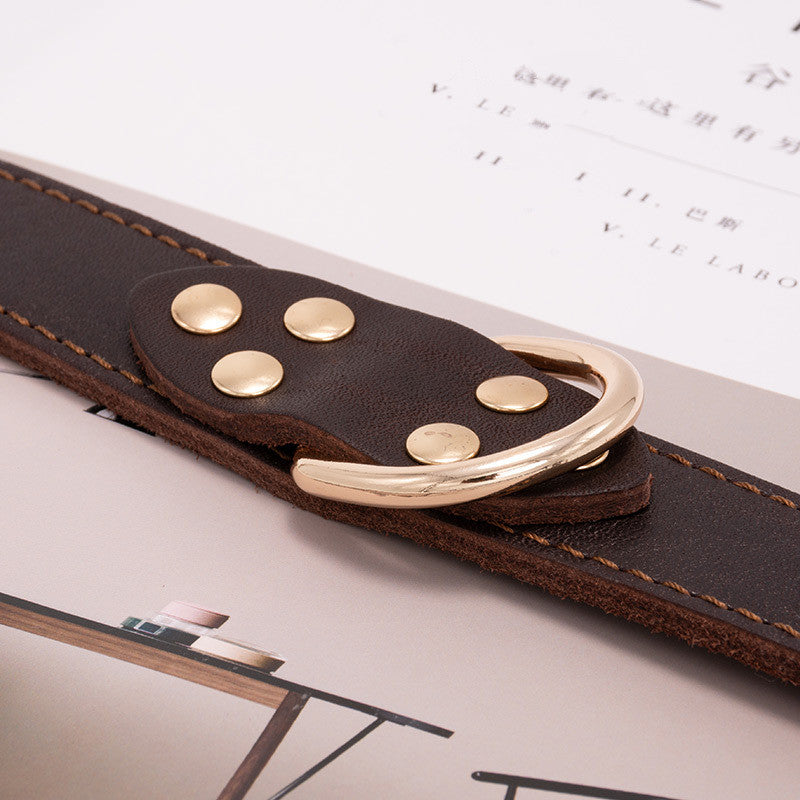 Leather Dog Collar for Whippet and Greyhound Breeds