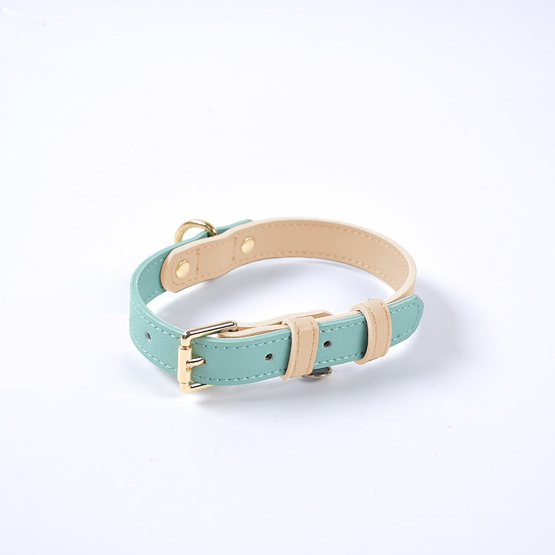 Leather Dog Leash and Collar Set