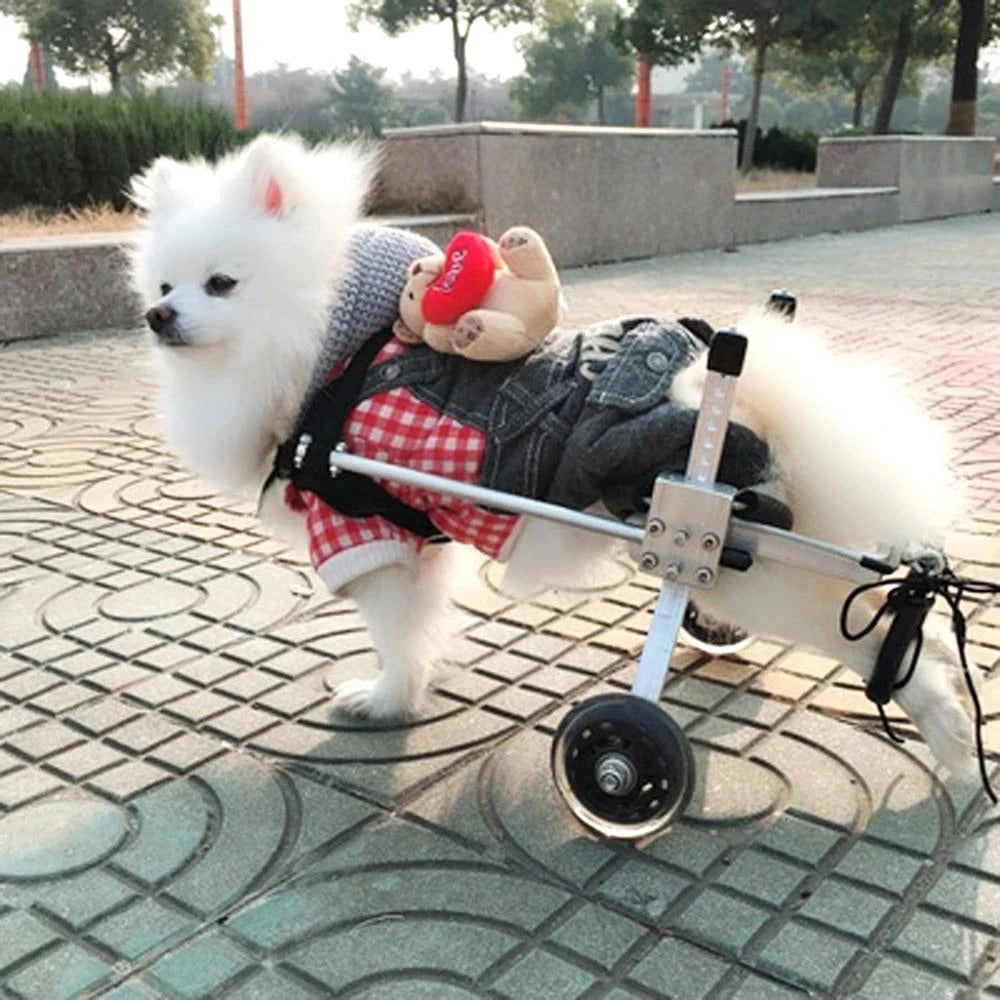 Dog Wheelchair for Rear Leg Paralysis - Pet Support