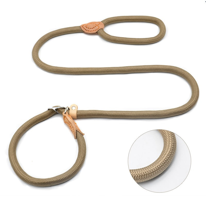 Chain Slip Dog Leash