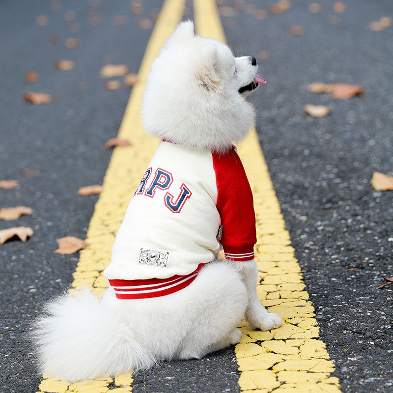 Korean Style Fleece Pet Hoodie for Dogs (Fall/Winter)