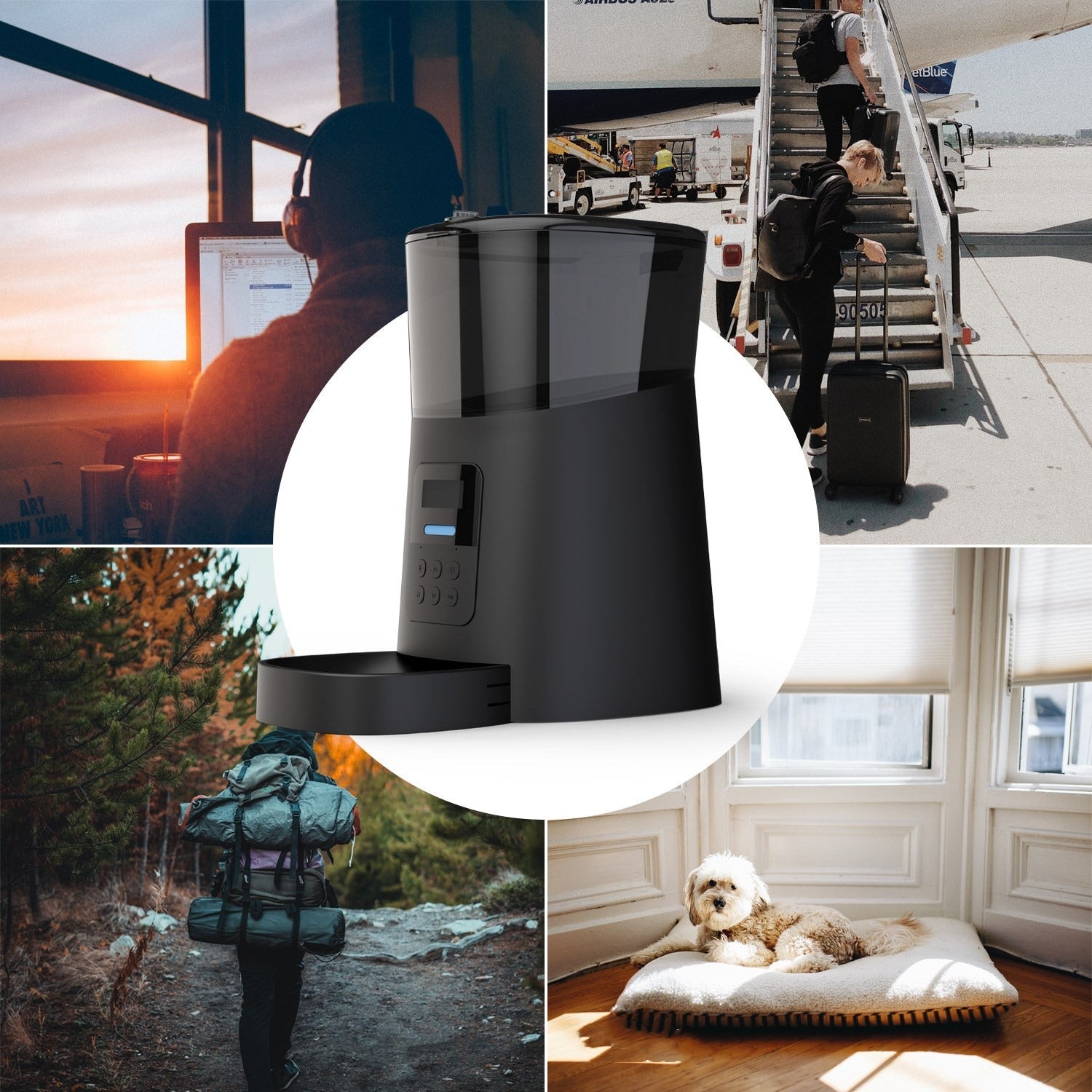 Automatic Pet Feeder with Large Capacity