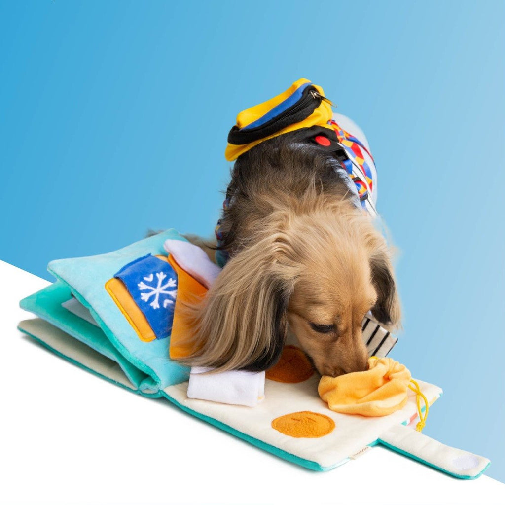 Dog Puzzle Sniffing Toy for Slow Feeding