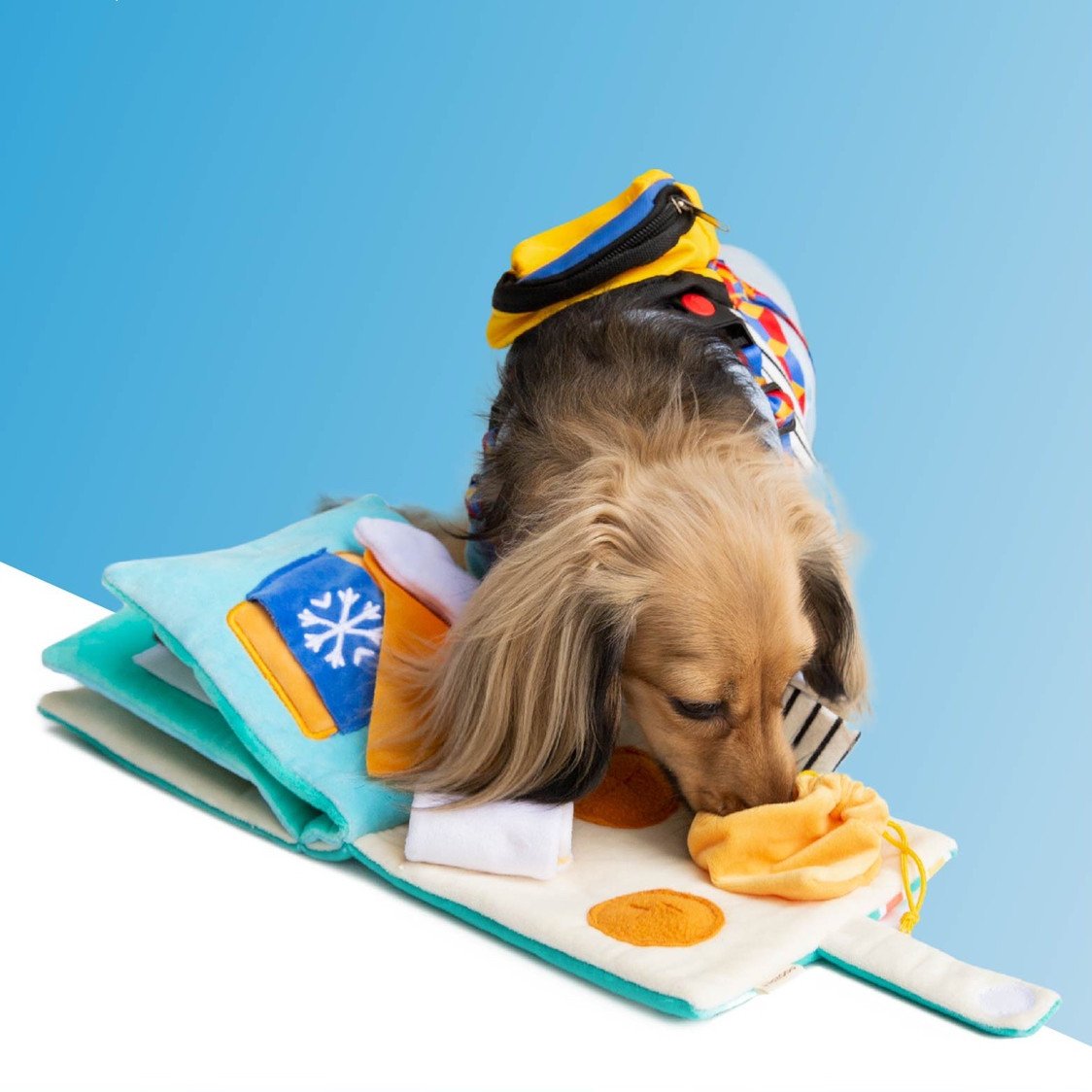 Dog Puzzle Sniffing Toy for Slow Feeding