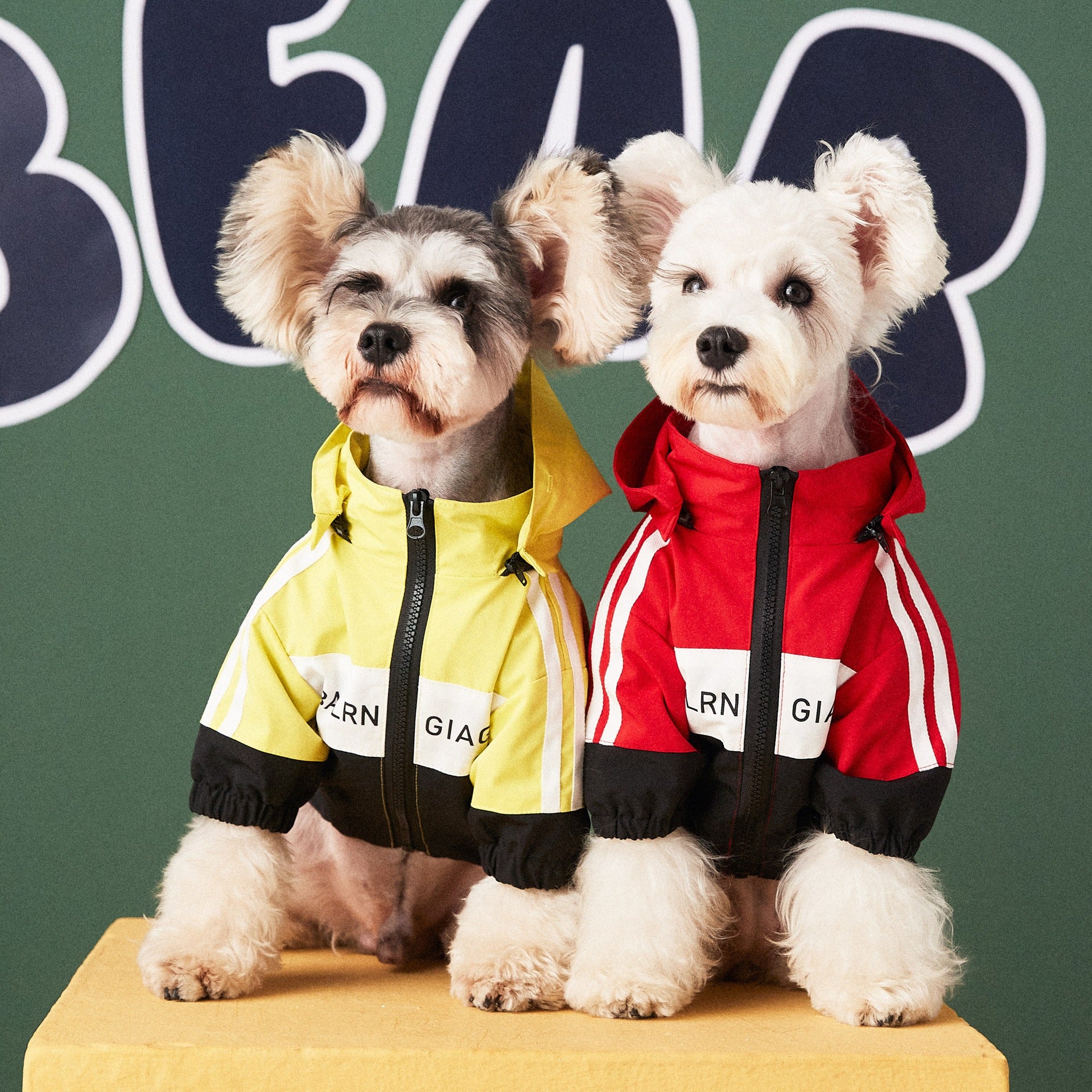 Dog Waterproof Raincoat Jacket