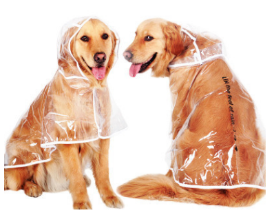 Dog Raincoat for Large and Medium Breeds (Golden, Husky)
