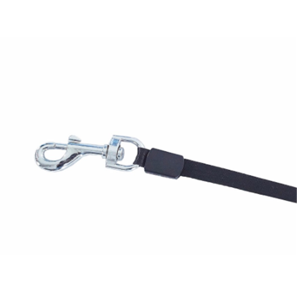 Retractable Dog Leash with Automatic Extension