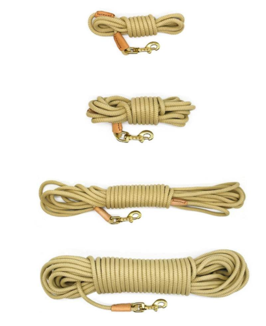 Pet Training Leash for Medium to Large Dogs