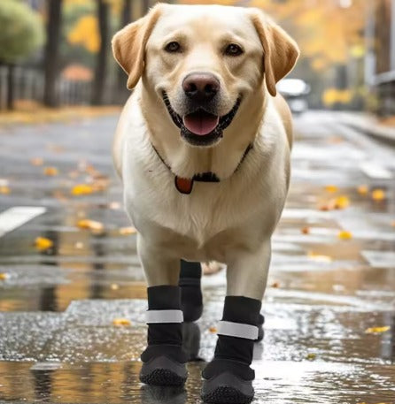 Dog Boots for Medium & Large Dogs