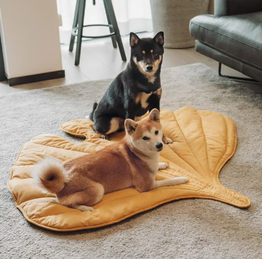Cozy All-Season Leaf Pet Mat