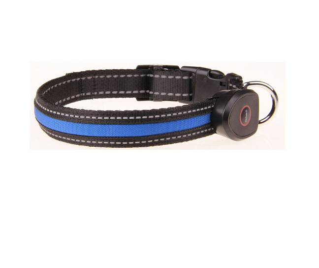 Luminous Dog Collar for Nighttime Visibility