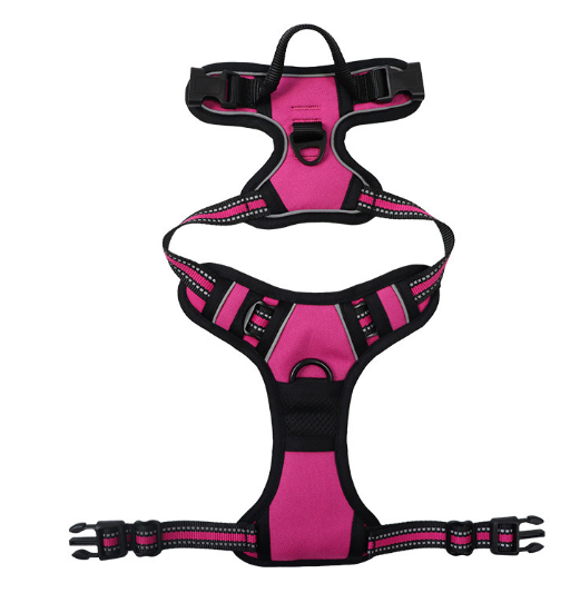 Dog Harness with Leash