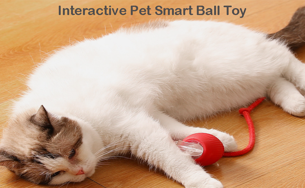 Interactive Rolling Pet Ball