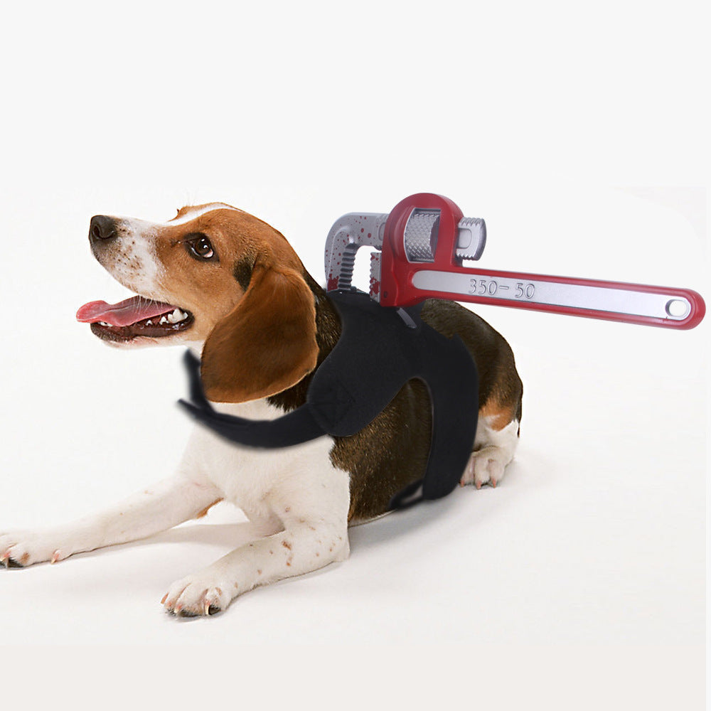 Halloween Fun Ideas for Cats and Dogs