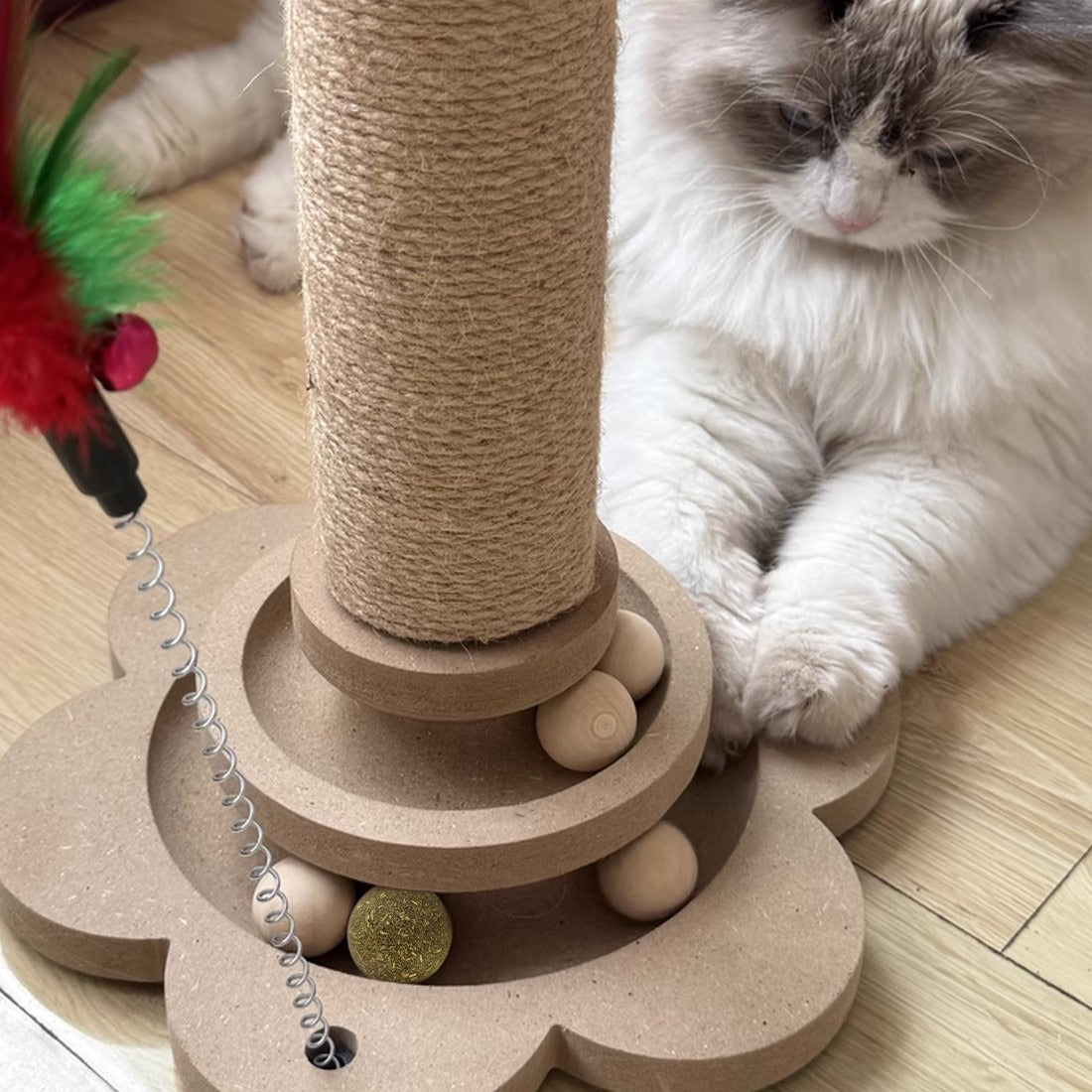 Cat Scratching Post