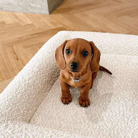 Rectangular Pet Bed Sofa Nest