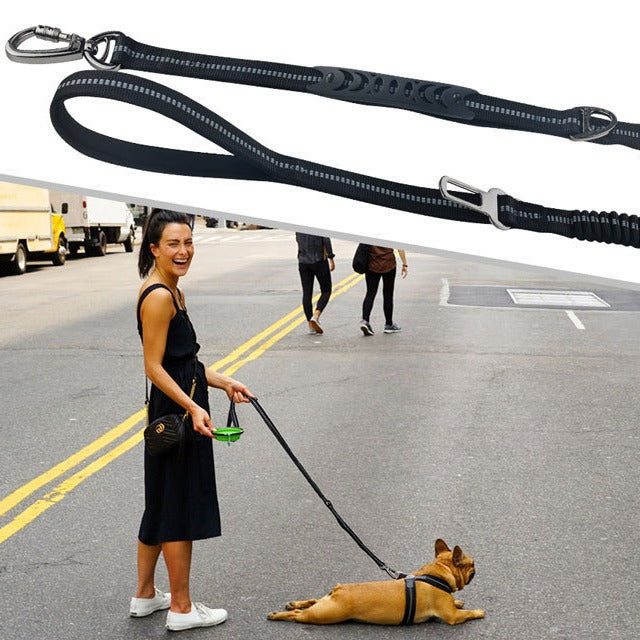 Cross-Border Dog Leash with Safety Features and Training
