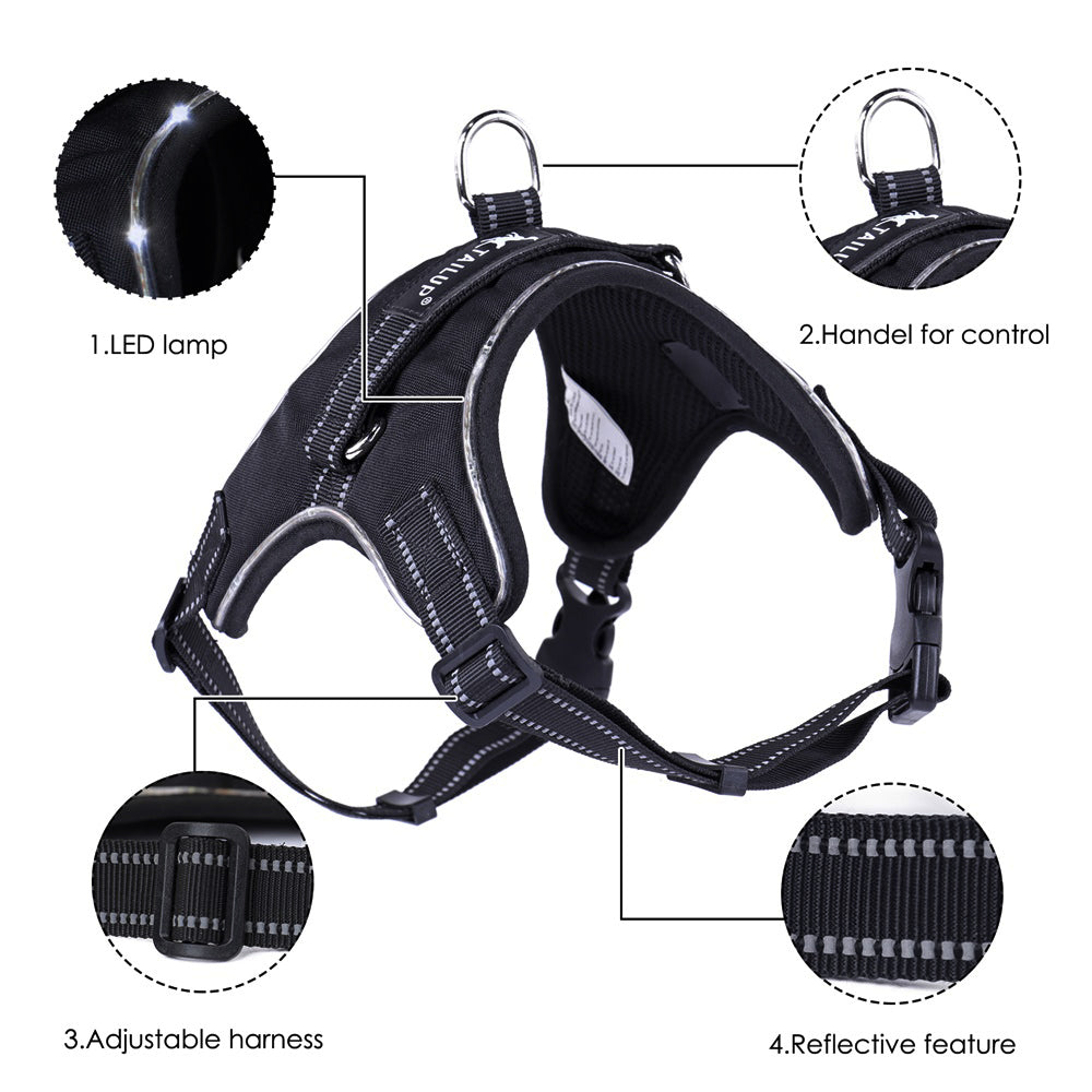LED Dog Harness with Leash and Light-Up Collar