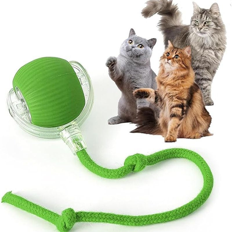 Rechargeable Smart Cat Ball Toy
