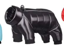 Waterproof Winter Down Jacket for Small Dogs