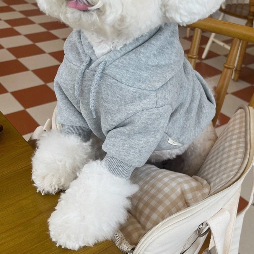 Small Pet Hoodie Sweater