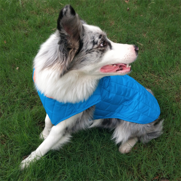 Two-Tone Checkered Dog Jacket and Cotton Coat