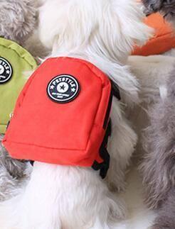 Dog Backpack for Small Pets - Teddy, French Bulldog